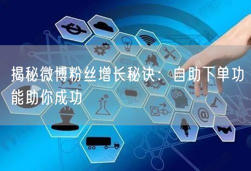 揭秘微博粉丝增长秘诀：自助下单功能助你成功