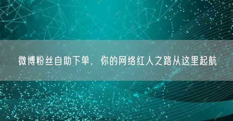 微博粉丝自助下单，你的网络红人之路从这里起航