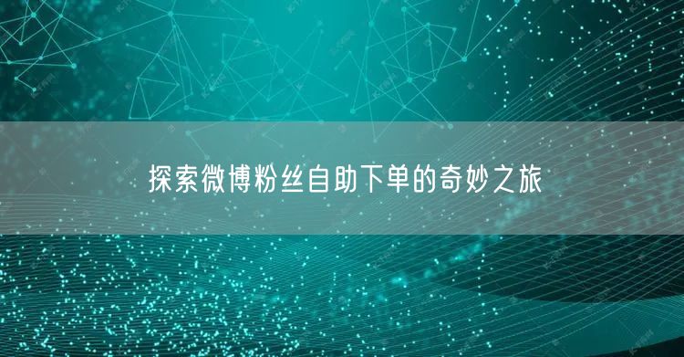 探索微博粉丝自助下单的奇妙之旅