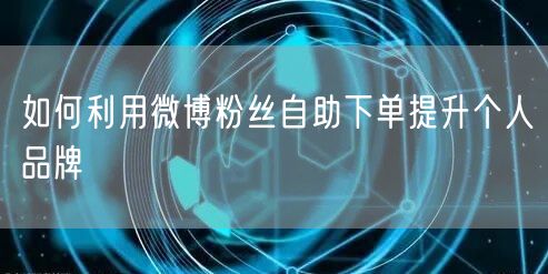 如何利用微博粉丝自助下单提升个人品牌