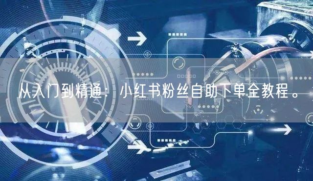 从入门到精通：小红书粉丝自助下单全教程。