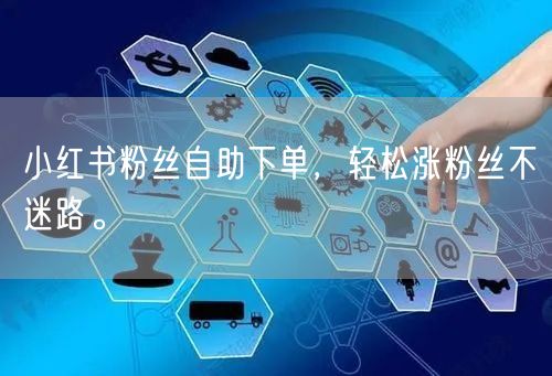 小红书粉丝自助下单，轻松涨粉丝不迷路。