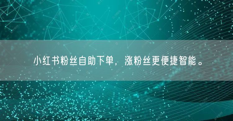 小红书粉丝自助下单，涨粉丝更便捷智能。