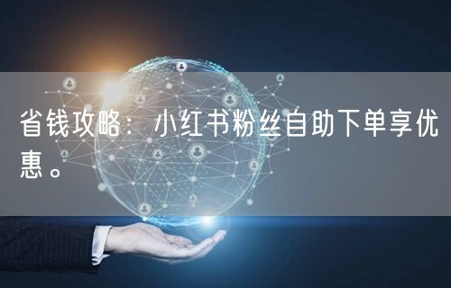 省钱攻略：小红书粉丝自助下单享优惠。