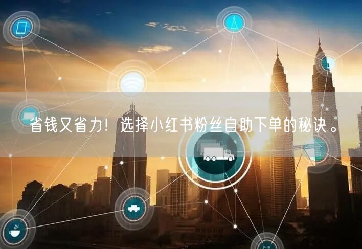 省钱又省力！选择小红书粉丝自助下单的秘诀。