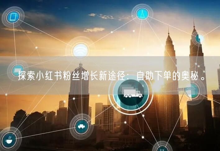 探索小红书粉丝增长新途径：自助下单的奥秘。