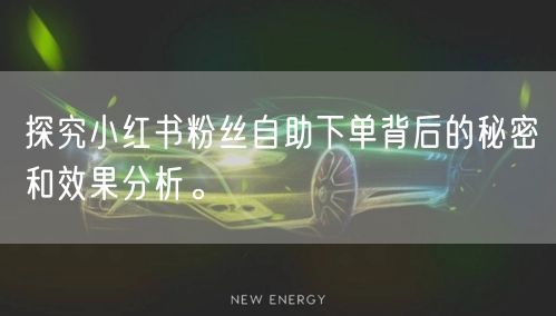 探究小红书粉丝自助下单背后的秘密和效果分析。