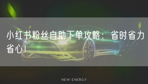 小红书粉丝自助下单攻略：省时省力省心！