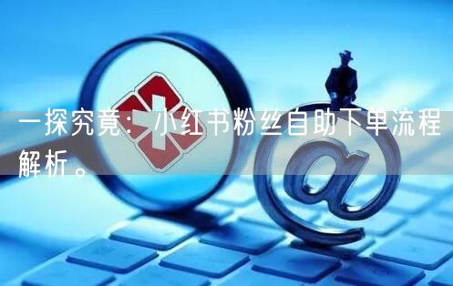 一探究竟：小红书粉丝自助下单流程解析。