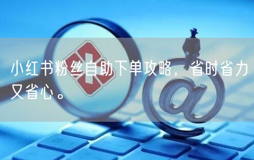 小红书粉丝自助下单攻略，省时省力又省心。
