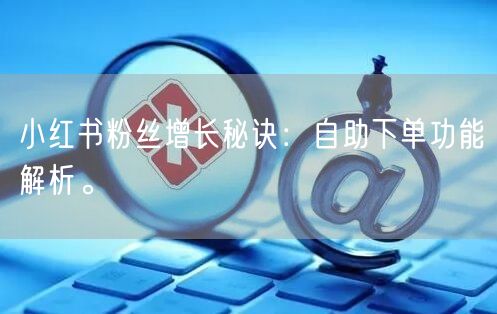 小红书粉丝增长秘诀：自助下单功能解析。