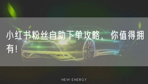 小红书粉丝自助下单攻略，你值得拥有！