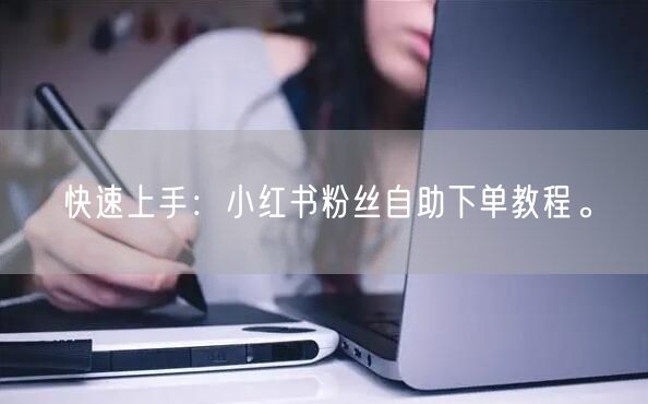 快速上手：小红书粉丝自助下单教程。