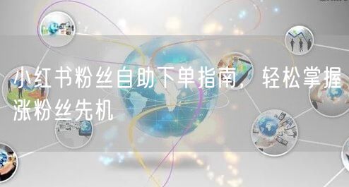 小红书粉丝自助下单指南，轻松掌握涨粉丝先机