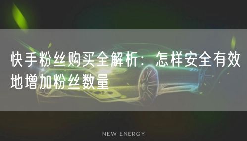 快手粉丝购买全解析：怎样安全有效地增加粉丝数量
