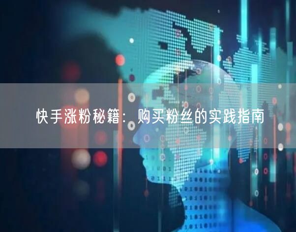 快手涨粉秘籍：购买粉丝的实践指南