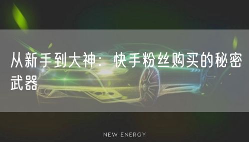 从新手到大神：快手粉丝购买的秘密武器