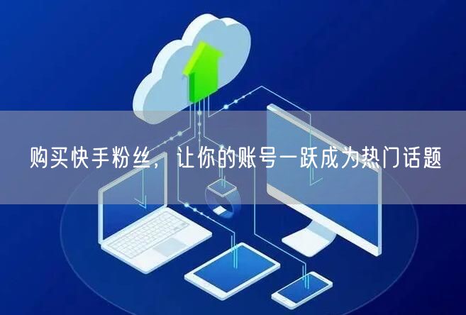 购买快手粉丝，让你的账号一跃成为热门话题