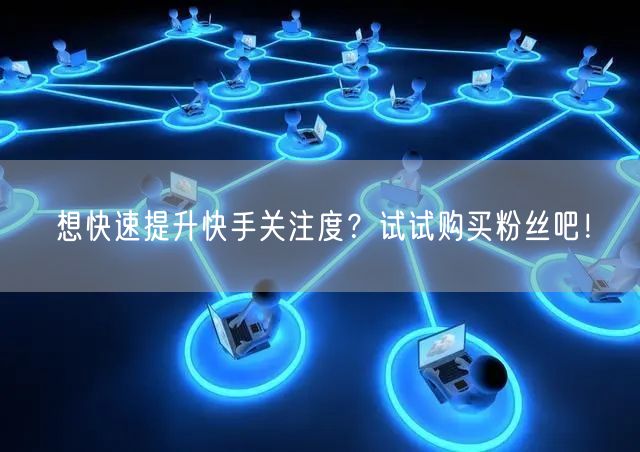 想快速提升快手关注度？试试购买粉丝吧！