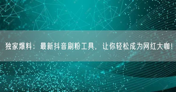 独家爆料：最新抖音刷粉工具，让你轻松成为网红大咖！