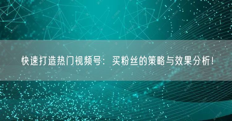 快速打造热门视频号：买粉丝的策略与效果分析！