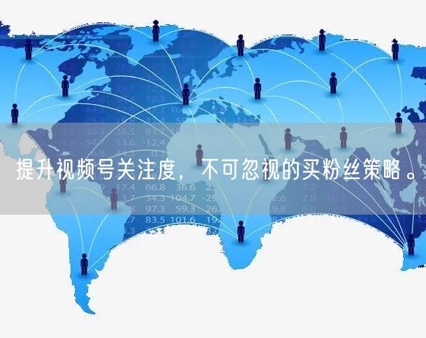 提升视频号关注度，不可忽视的买粉丝策略。