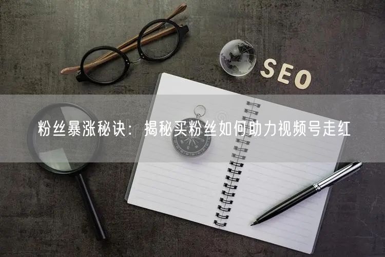 粉丝暴涨秘诀：揭秘买粉丝如何助力视频号走红
