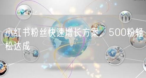 小红书粉丝快速增长方案，500粉轻松达成