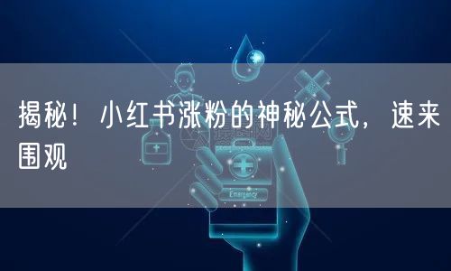 揭秘！小红书涨粉的神秘公式，速来围观