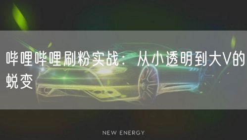 哔哩哔哩刷粉实战：从小透明到大V的蜕变