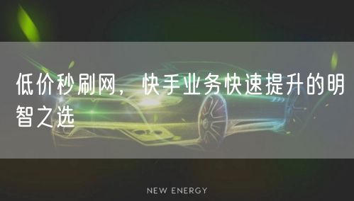 低价秒刷网，快手业务快速提升的明智之选