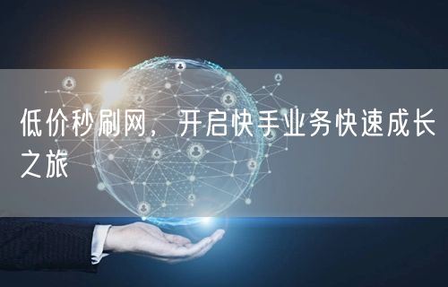 低价秒刷网，开启快手业务快速成长之旅