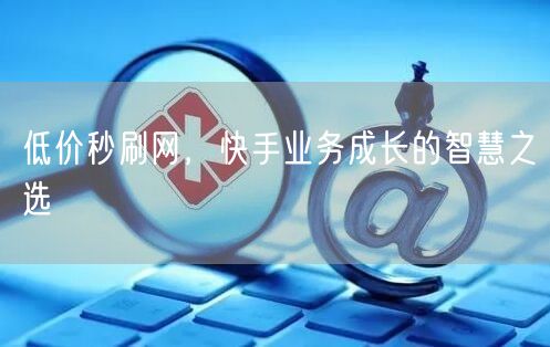 低价秒刷网，快手业务成长的智慧之选
