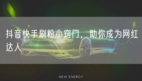 抖音快手刷粉小窍门，助你成为网红达人