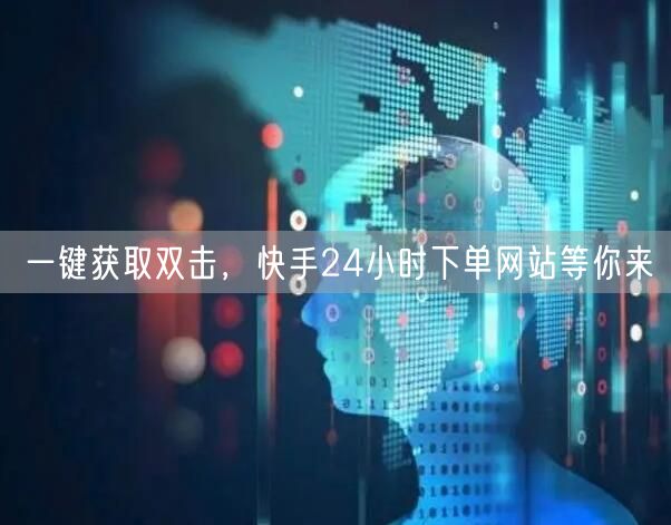 一键获取双击，快手24小时下单网站等你来