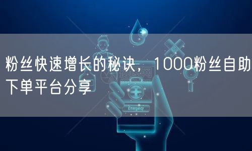 粉丝快速增长的秘诀，1000粉丝自助下单平台分享