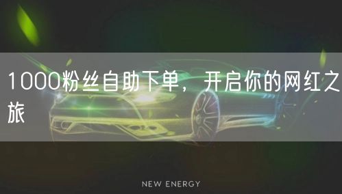 1000粉丝自助下单，开启你的网红之旅