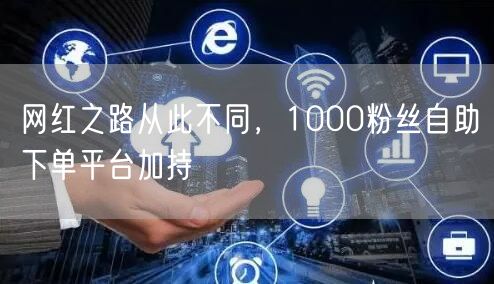 网红之路从此不同，1000粉丝自助下单平台加持