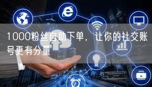 1000粉丝自助下单，让你的社交账号更有分量