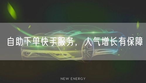 自助下单快手服务，人气增长有保障