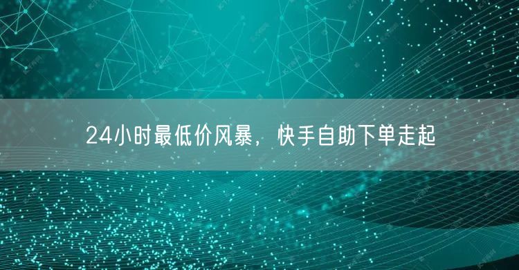24小时最低价风暴，快手自助下单走起