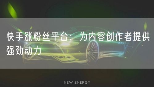 快手涨粉丝平台：为内容创作者提供强劲动力