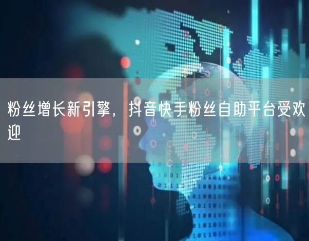粉丝增长新引擎，抖音快手粉丝自助平台受欢迎