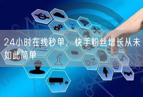 24小时在线秒单，快手粉丝增长从未如此简单