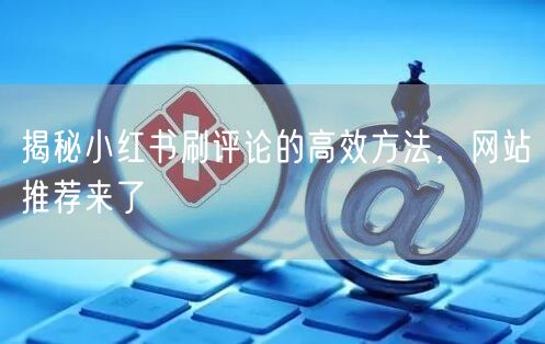 揭秘小红书刷评论的高效方法，网站推荐来了