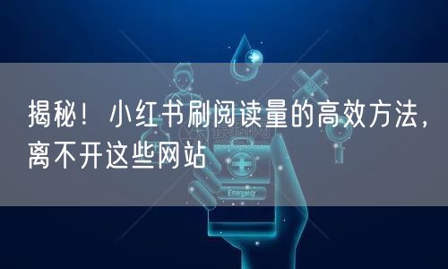 揭秘！小红书刷阅读量的高效方法，离不开这些网站