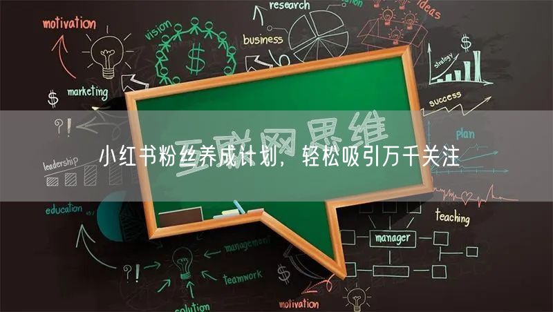 小红书粉丝养成计划，轻松吸引万千关注