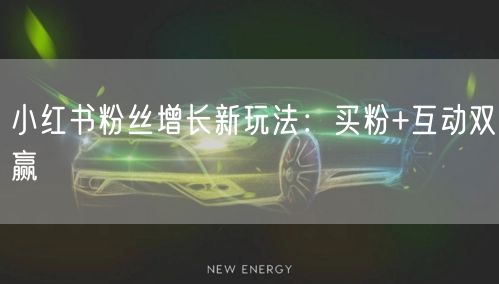 小红书粉丝增长新玩法：买粉+互动双赢