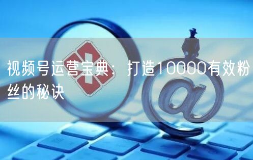 视频号运营宝典：打造10000有效粉丝的秘诀