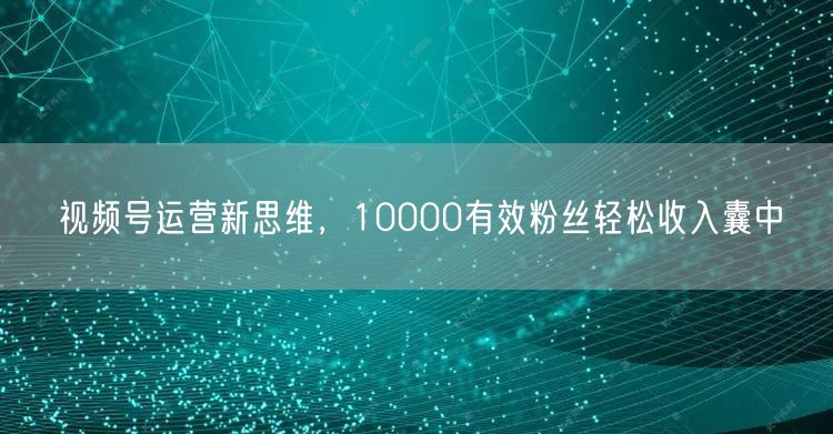 视频号运营新思维，10000有效粉丝轻松收入囊中